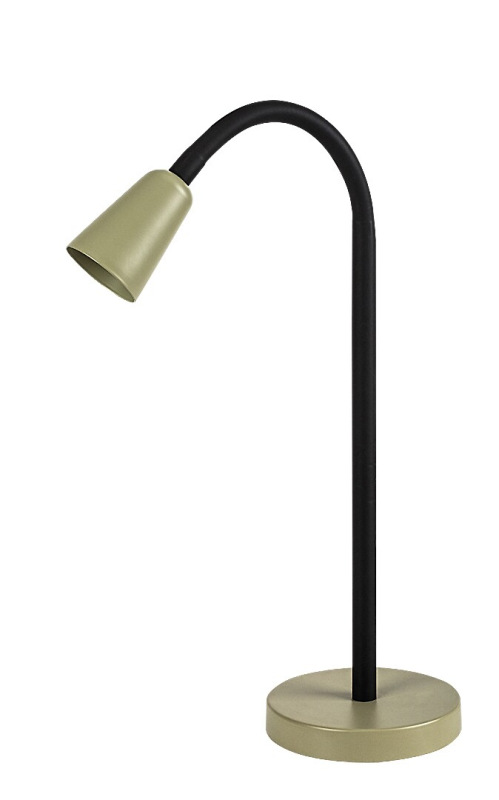 Aldo 10