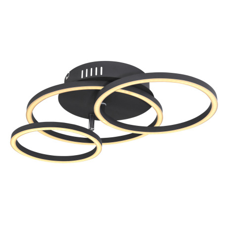 Stropné svietidlo, kov čierny matný, plast opál, priemer kruhu: 30cm, 25cm, 20,5cm, DxŠxV:500x300x95