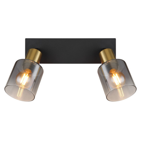 Nástenné svietidlo, kov čierny matný, kov zlatý matný, sklo dymové, priehľadné, DxŠxV: 250x80x182mm, 12