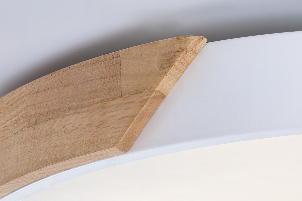 Maple2 13