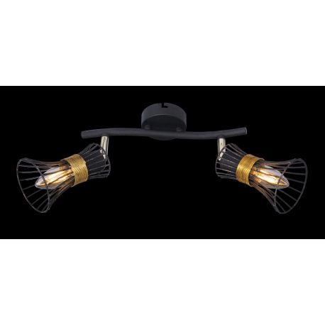 Nástenné svietidlo, kov čierny a zlatý, kovové tyče čierne a zlaté, DxV:290x220, bez žiaroviek 2xE14 5