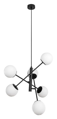 Meduza 1