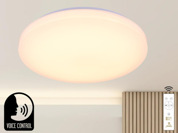 LED stropná lampa OPAL + DO + OVLÁDANIE HLASOM 48W - LC902SV 2