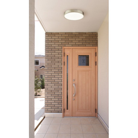 Stropné svietidlo, hliník matný nikel, akryl opál, akrylový opál, stmievateľné, D: 170, H: 26, vráta 1