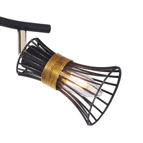 Nástenné svietidlo, kov čierny a zlatý, kovové tyče čierne a zlaté, DxV:290x220, bez žiaroviek 2xE14 7