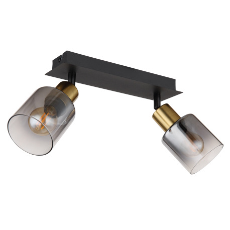 Nástenné svietidlo, kov čierny matný, kov zlatý matný, sklo dymové, priehľadné, DxŠxV: 250x80x182mm, 10