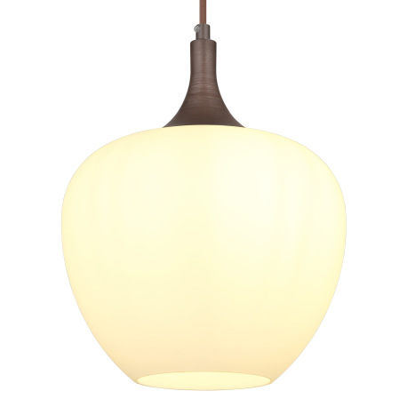 Závesné svietidlo, kov farba kávy, sklo biele, kábel textil hnedý, ø:240mm, V: 1200mm, bez žiarovky 10