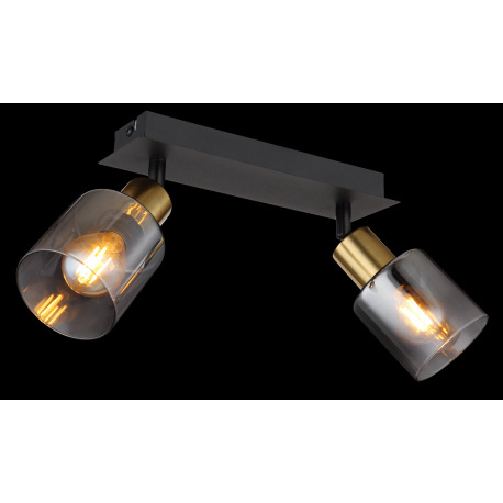 Nástenné svietidlo, kov čierny matný, kov zlatý matný, sklo dymové, priehľadné, DxŠxV: 250x80x182mm, 9