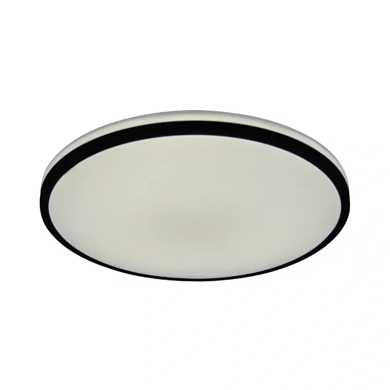 LED stropné svietidlo OPAL + diaľkový ovládač 36W - LCL534BT 2