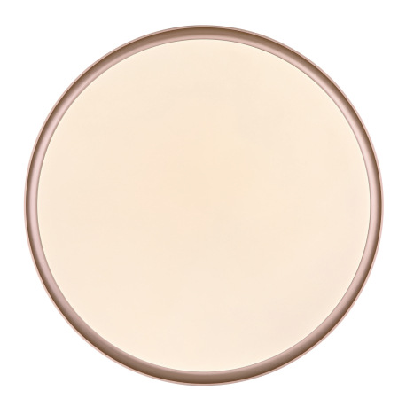 Stropné svietidlo, kov čierny/bronzový, plast biely, pamäťová funkcia, nočné svetlo, stmievateľné, d 14